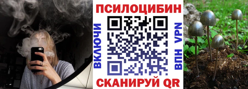 Псилоцибиновые грибы MAGIC MUSHROOMS  наркошоп  блэк спрут tor  Старица 